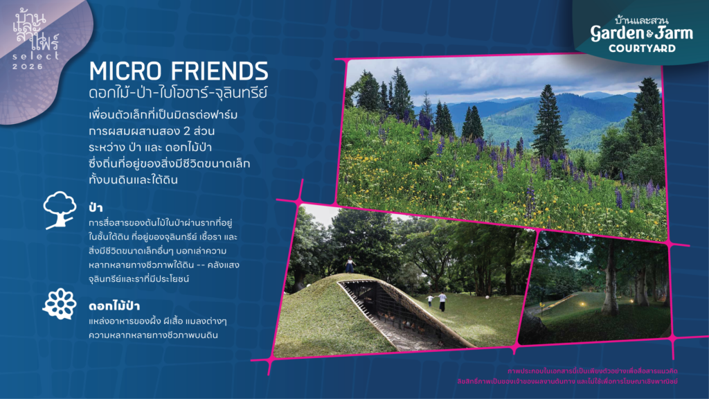บ้านและสวนแฟร์ โซน Garden & Farm Courtyard