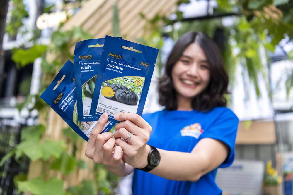 เมล็ดพันธุ์เจียไต๋ ผักซองอีซี่ 