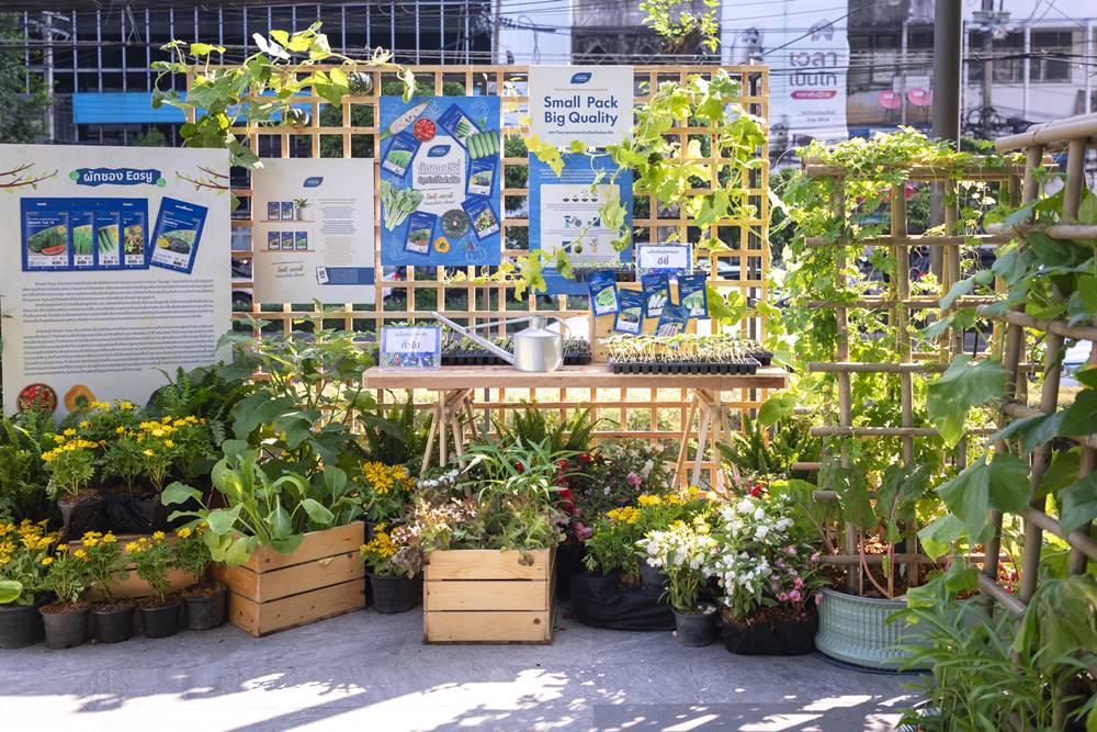 เมล็ดพันธุ์เจียไต๋ ผักซองอีซี่ 