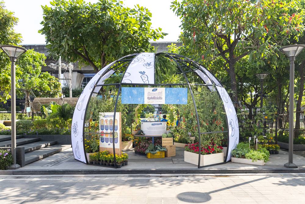 เมล็ดพันธุ์เจียไต๋ ผักซองอีซี่ 