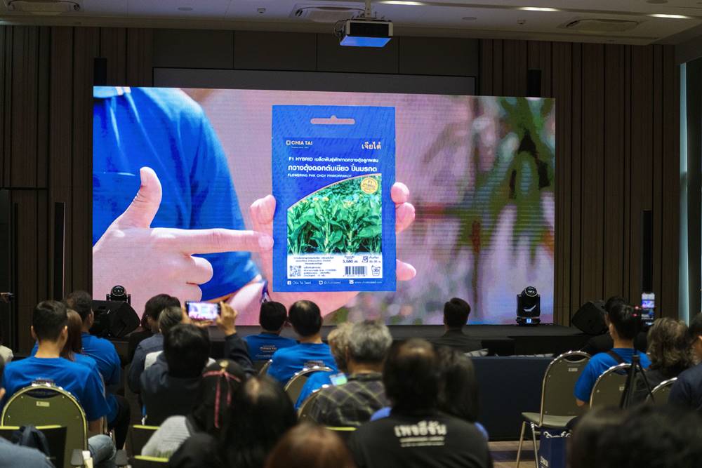 เมล็ดพันธุ์เจียไต๋ ผักซองอีซี่ 