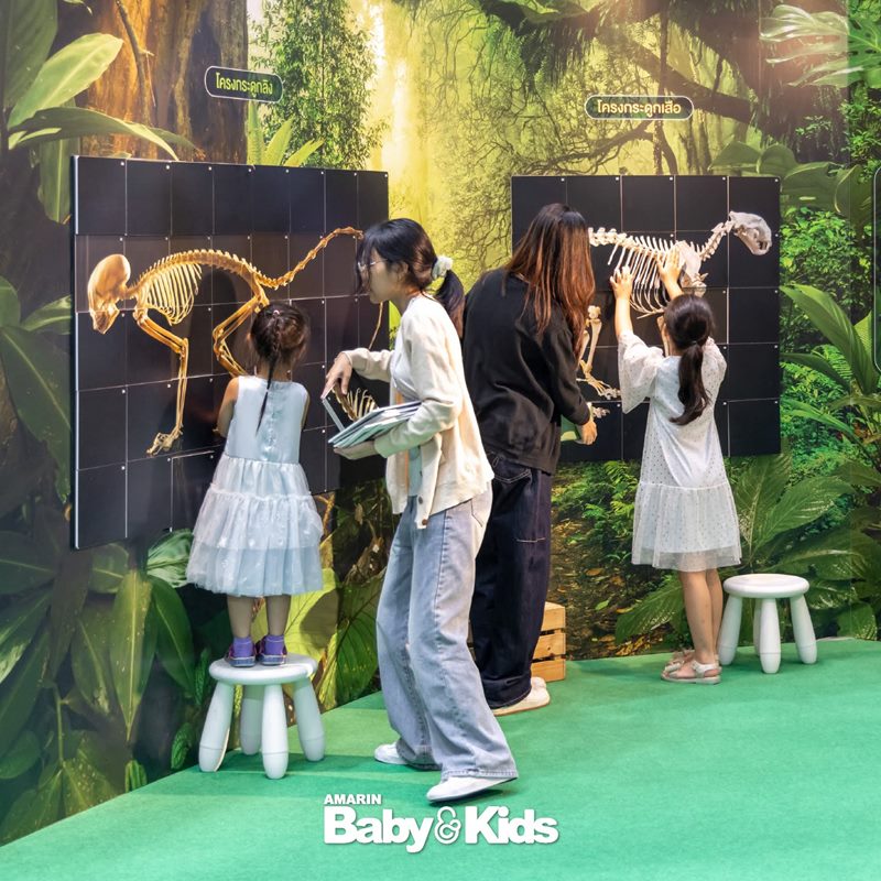 Amarinbaby And Kids Fair Midyear 2026 - ห้องเรียนนักอนุรักษ์สัตว์ป่า Amarinbaby And Kids Fair Midyear 2026 - ห้องเรียนนักอนุรักษ์สัตว์ป่า
