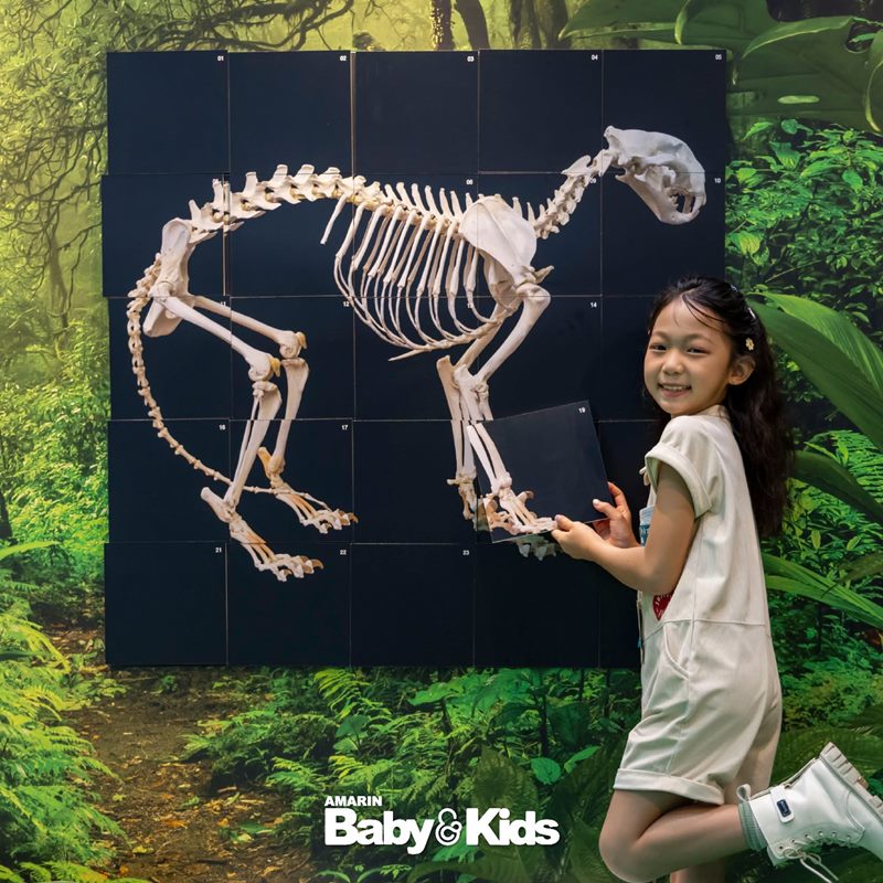 Amarinbaby And Kids Fair Midyear 2026 - ห้องเรียนนักอนุรักษ์สัตว์ป่า Amarinbaby And Kids Fair Midyear 2026 - ห้องเรียนนักอนุรักษ์สัตว์ป่า