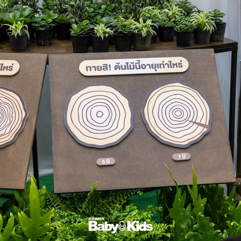Amarinbaby And Kids Fair Midyear 2026 - ห้องเรียนเจ้าหน้าที่พิทักษ์ป่า Amarinbaby And Kids Fair Midyear 2026 - ห้องเรียนเจ้าหน้าที่พิทักษ์ป่า