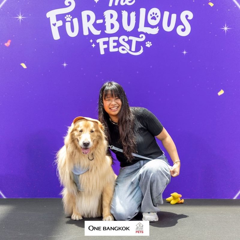 Furry Friends Studio Furry Friends Studio