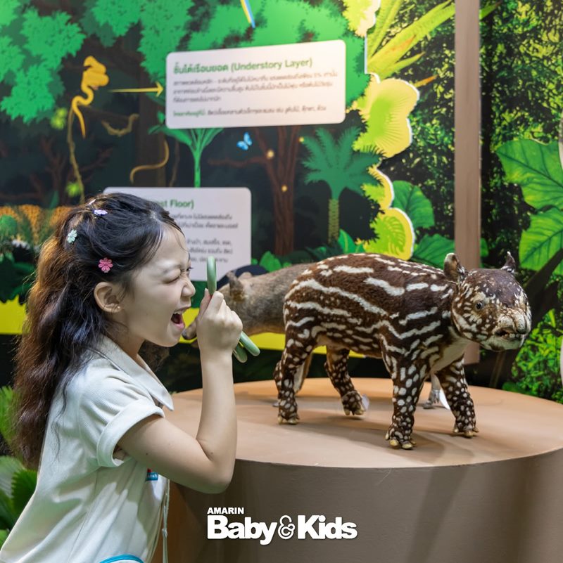 Amarinbaby And Kids Fair Midyear 2026 - ห้องเรียนธรรมชาติ ผจญัยในป่าดิบชื่น Amarinbaby And Kids Fair Midyear 2026 - ห้องเรียนธรรมชาติ ผจญัยในป่าดิบชื่น