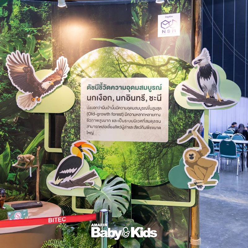 Amarinbaby And Kids Fair Midyear 2026 - ห้องเรียนธรรมชาติ ผจญัยในป่าดิบชื่น Amarinbaby And Kids Fair Midyear 2026 - ห้องเรียนธรรมชาติ ผจญัยในป่าดิบชื่น