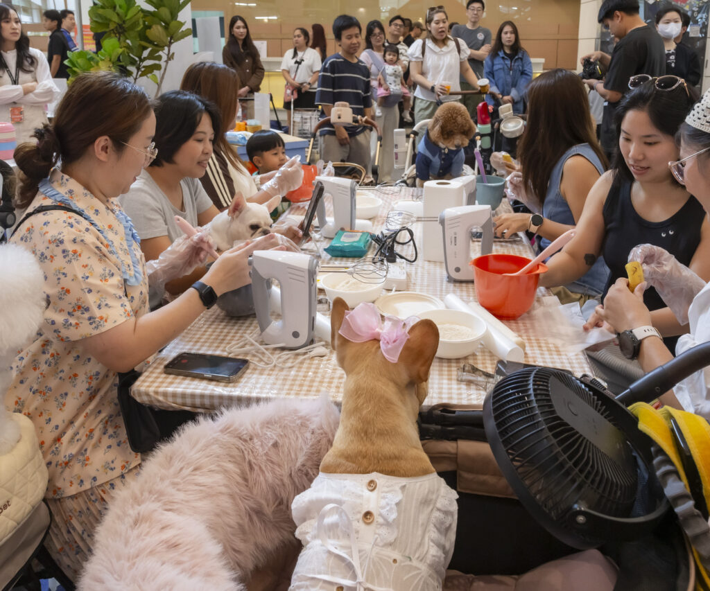 บ้านและสวน Pets Lounge